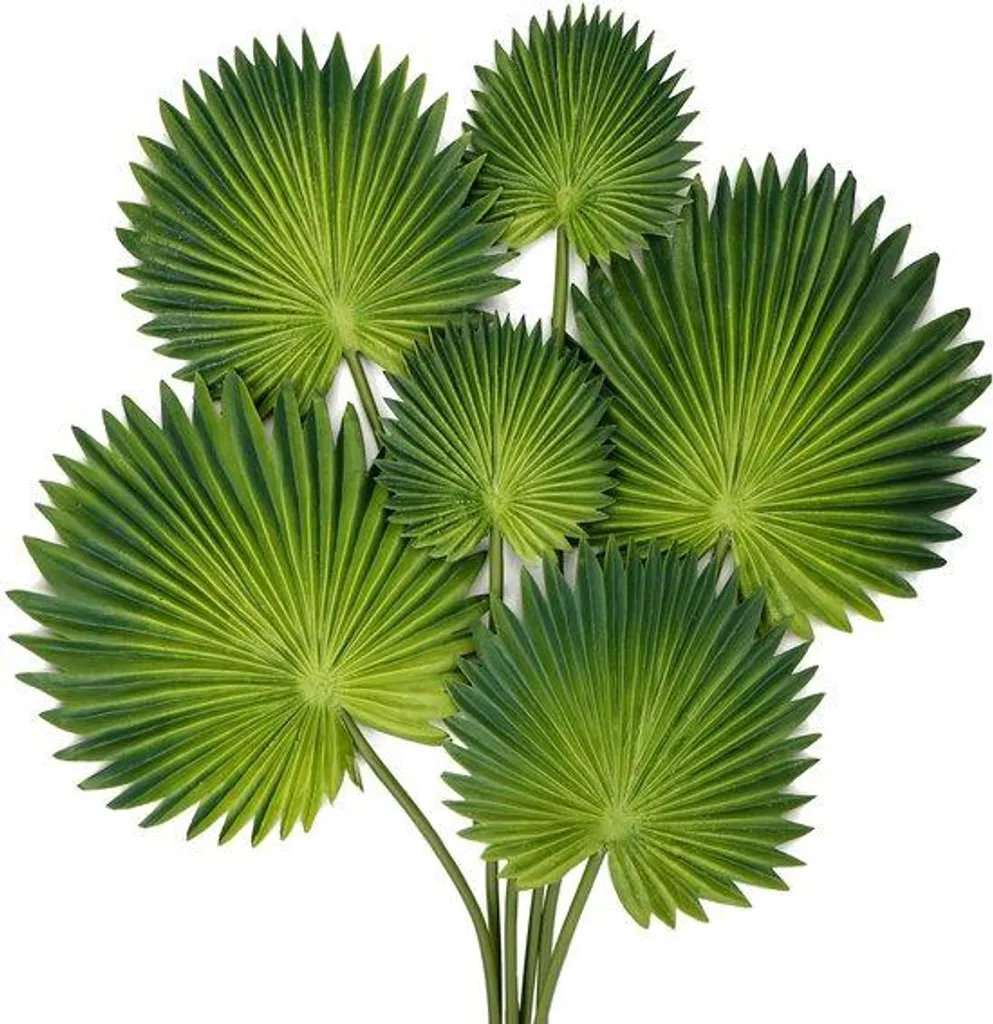Décoration de table tropicale : 6 feuilles vertes souples pour vase