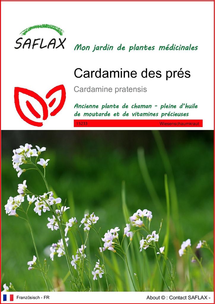 SAFLAX  - Cardamine des prés - 100 graines - Cardamine Image du produit 