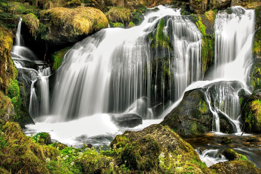Muralo Fototapete Natur 368 (B) x 254 (H) cm Vlies Tapete Wandtapeten Wasserfall Felsen Steine Pflanzen Wohnzimmer Schlafzimmer moderne Wandbilder ...