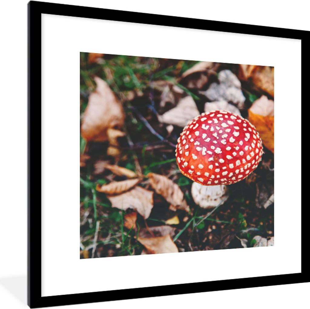 MuchoWow Gerahmtes Poster Herbst - Pilz - Blätter - Natur 40x40 cm - Poster mit Schwarzem Bilderrahmen Wandposter Rahmen Foto Bilder - Poster - ...