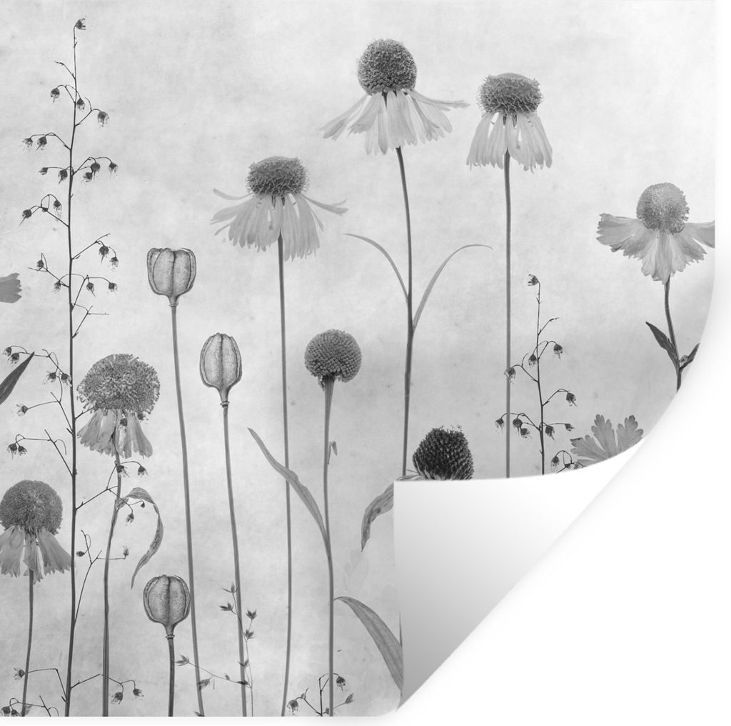 MuchoWow - Wierderverwendbar - Selbstklebend