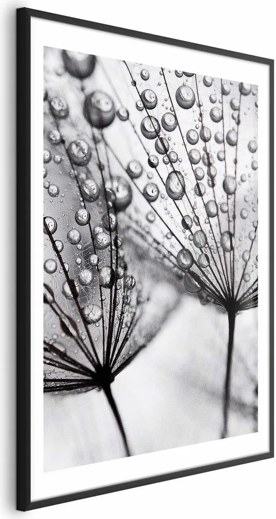 Poster Rosa 60x90 cm con Cornice Nera e Margine | Arredo Design Made in Italy