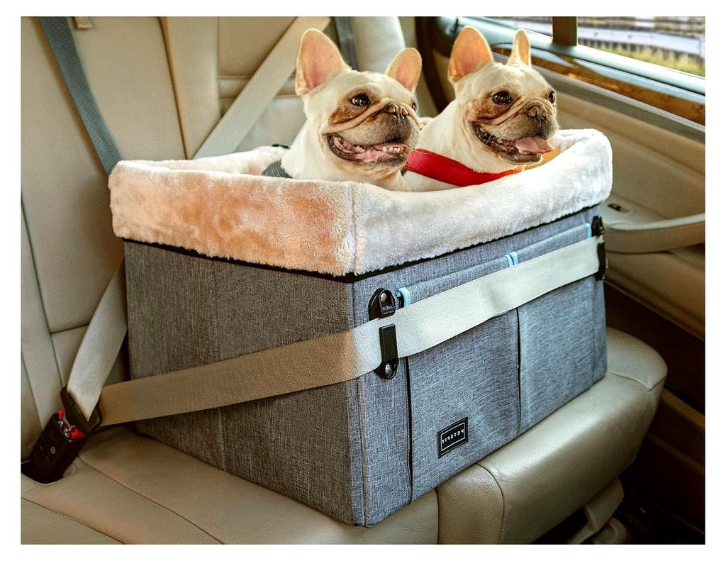 Hundesitz für die Rückbank im Auto für mittelgroße Hunde oder 2 kleine Hunde, Vordersitz mit waschbarer Matte, 2 Anschnallgurten und Aufbewahru...