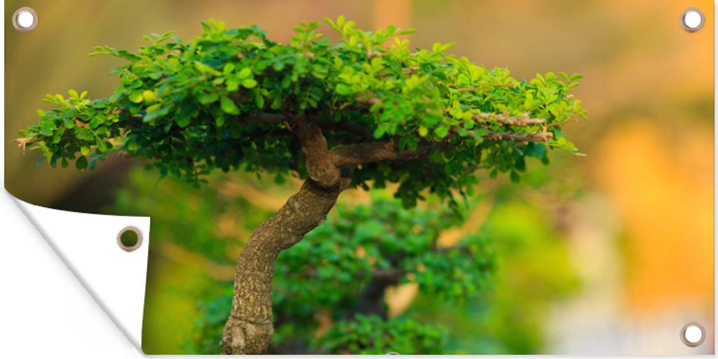 MuchoWow 60x30 cm Outdoor-Poster Gartendeko Sichtschutz Garten Poster für den Garten Bonsai-Bäume in einer Reihe