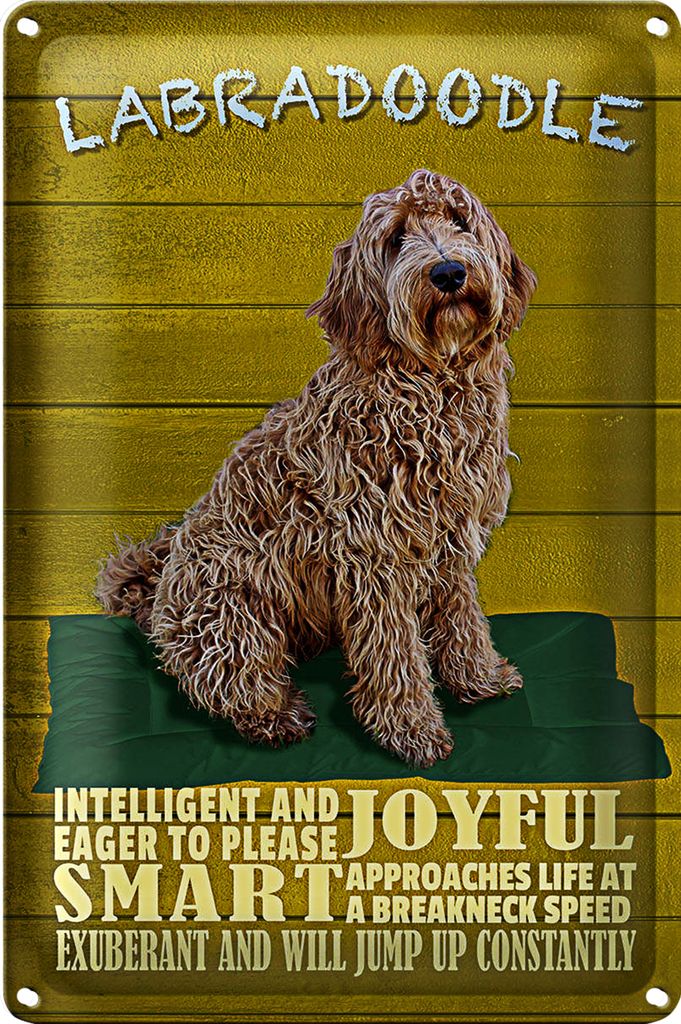 Blechschild Spruch 20x30cm Labradoodle Hund will jump up