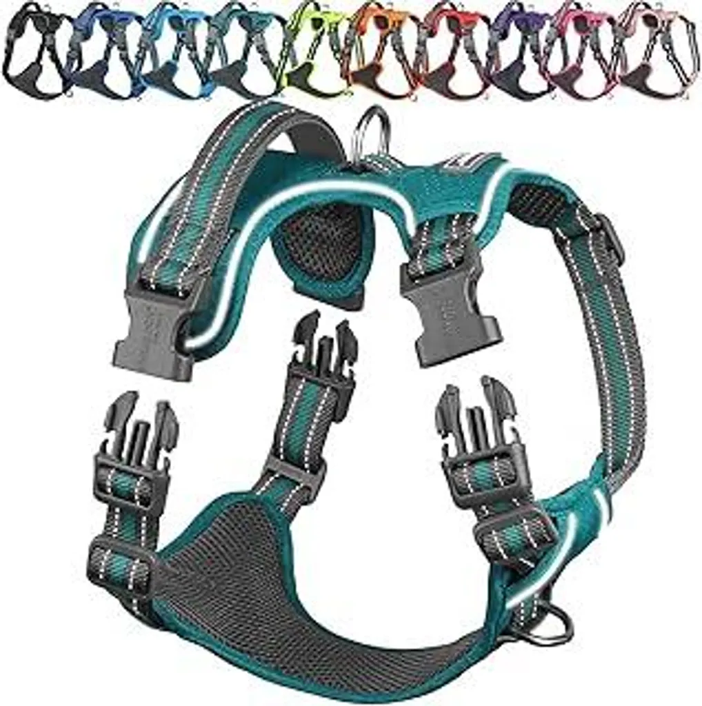 VIVAGLORY Easewalk XS: Pettorina Anti-Fuga per Cuccioli Avventurosi
