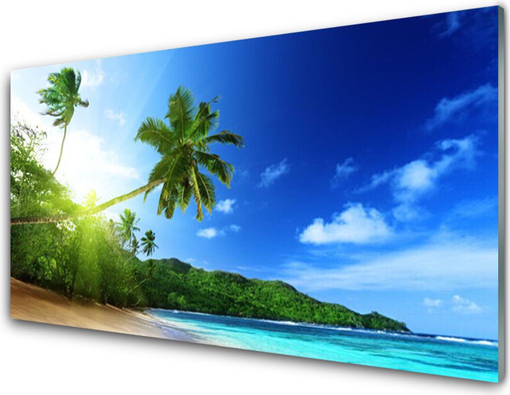 Küchenrückwand aus Glas 100x50cm Spritzschutz Strand Meer Palmen Landschaft