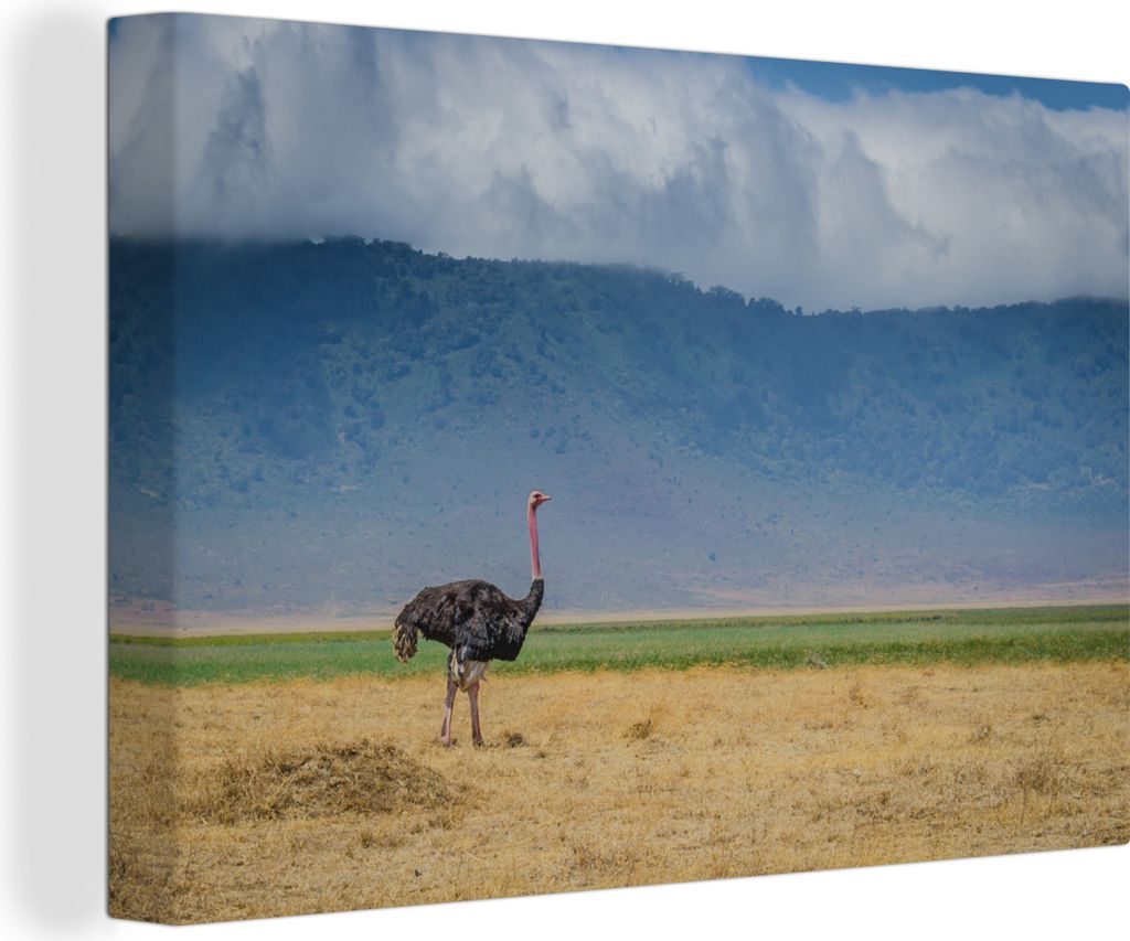 OneMillionCanvasses - Leinwandbilder - 140x90 cm, Strauß inmitten der Savanne des Ngorongoro-Kraters in Tansania, Wandbilder Kunstdruck Wanddeko...