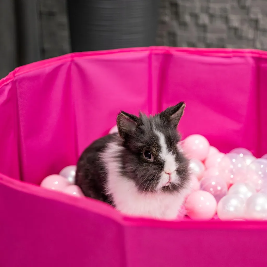 Petsona piscina di palline pieghevole per cani gatti 100 palline rotonde gatto coniglio giocattolo animali domestici cane piscina animali piscina portatile, rosa: rosa cipria/perla/trasparente - 2