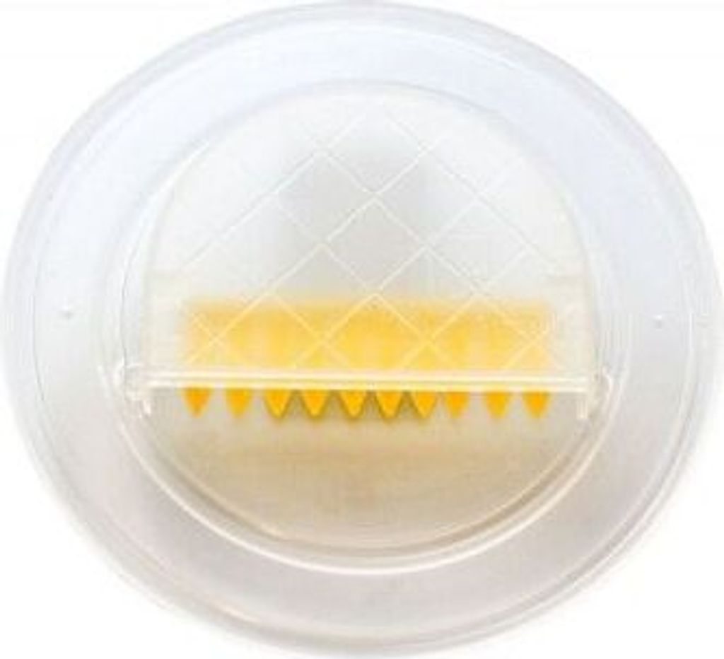 Bienenflucht mit Klappen