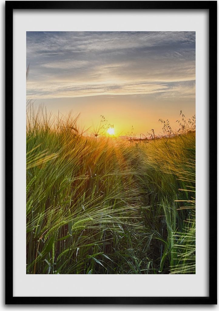 Bild - Bilderrahmen - 50 cm x 70 cm - MDF - Rahmen - Produktbild 
