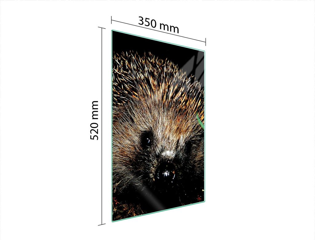 Glasschneidebrett 35x52 Igel