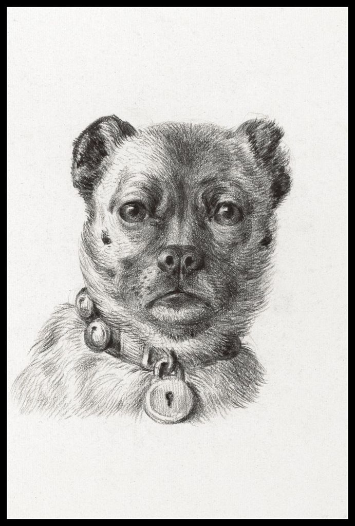 Plakat 61x91,5cm Hundekopf mit Halsband, Jean Bernard Vintage für das Wohnzimmer