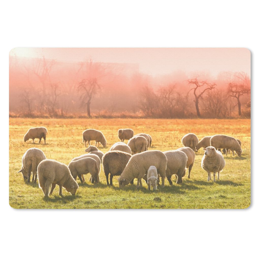 MuchoWow Schreibtischunterlage Tiere - Schafe - Gras 60x40 cm - XXL Mauspad - Großes Mauspad