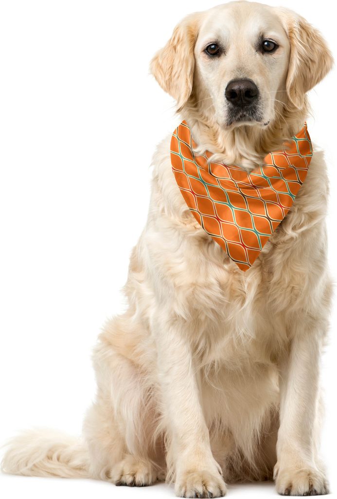 ABAKUHAUS Orange Haustier Bandana, trippy Inspired, 55x55 cm, Mehrfarbig