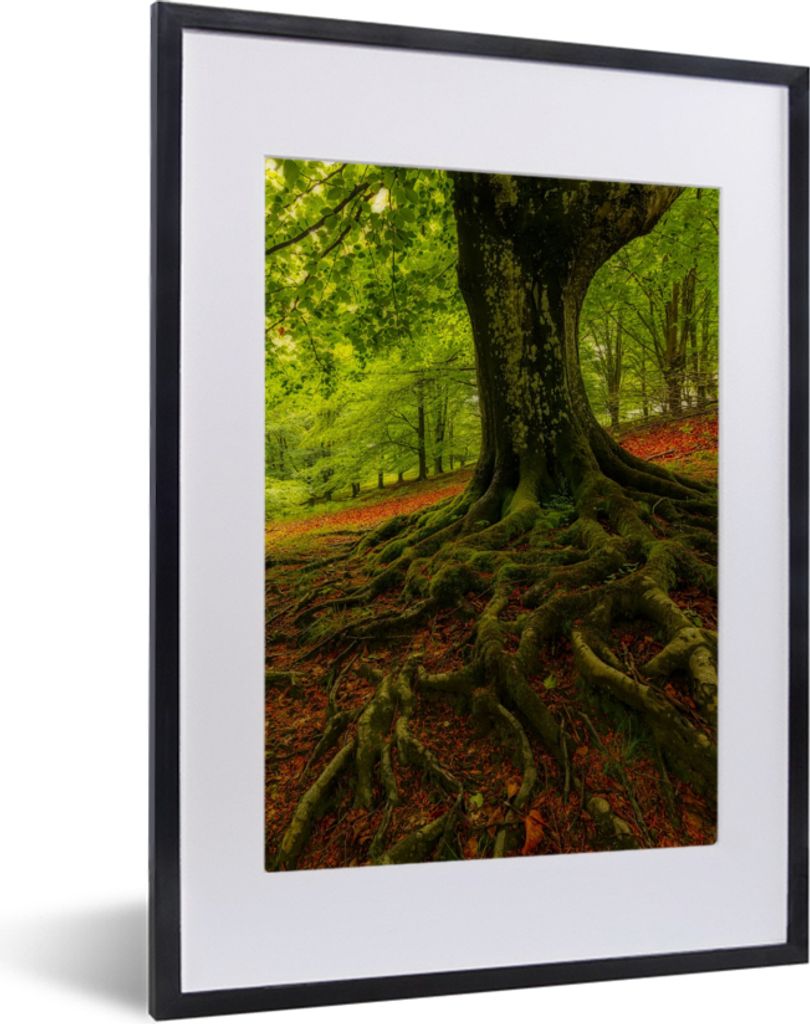 MuchoWow Gerahmtes Poster Baum - Wald - Herbstblätter 30x40 cm - Poster mit Schwarzem Bilderrahmen Wandposter Rahmen Foto Bilder - Wandposter Sc...