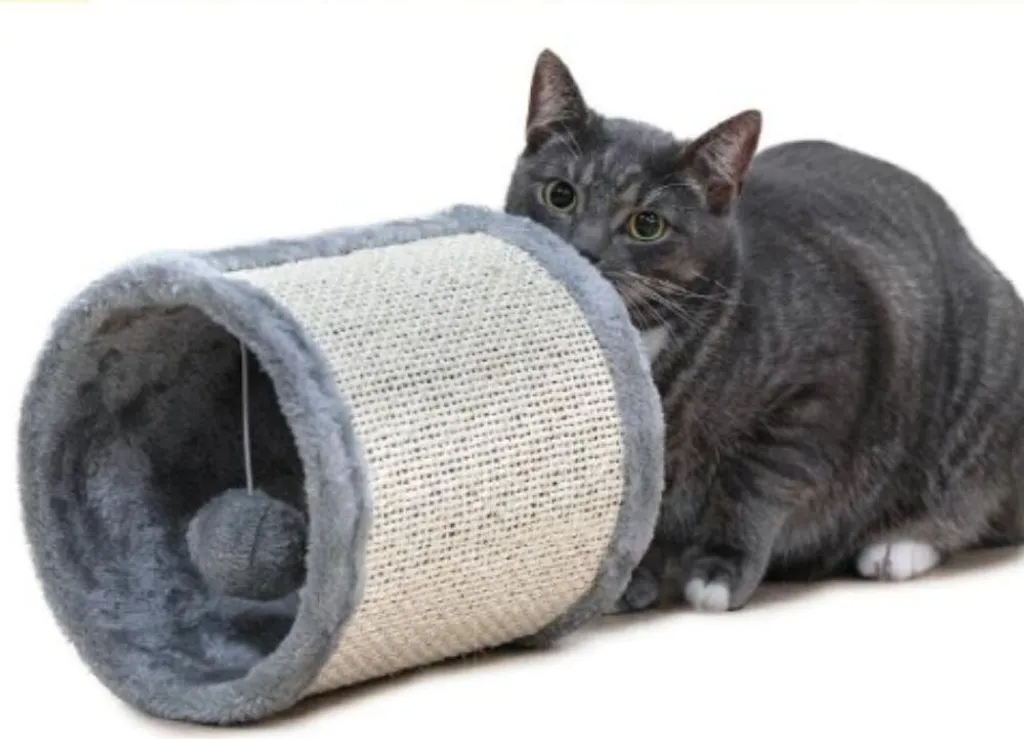 Petit Tunnel de Jeu pour Chat Gris avec Griffoir et Jouet Suspendu