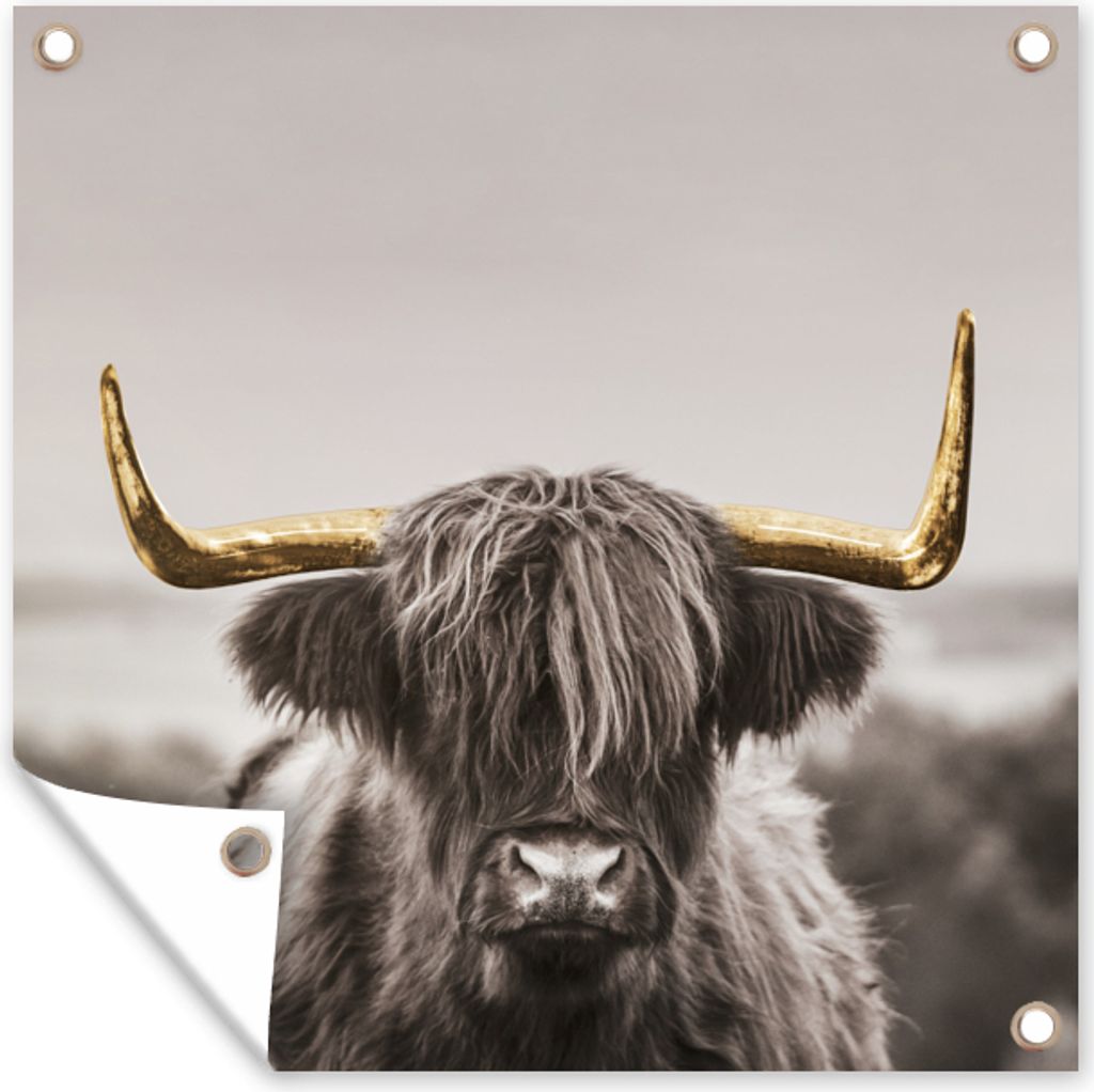 MuchoWow 100x100 cm Outdoor-Poster Gartendeko Sichtschutz Garten Poster für den Garten Schottischer Highlander - Gold - Hoorn