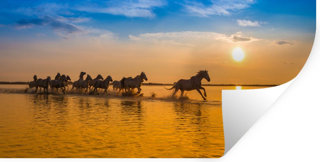 MuchoWow - Sticker - Dekorfolie