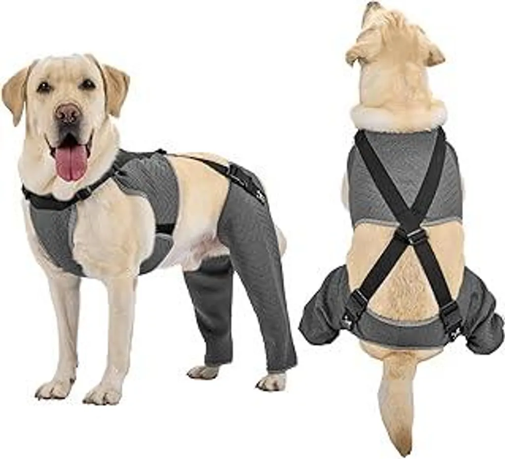 Body post-operatorio per cani, body per cani con gambe, body antiscivolo aggiornato post-operatorio per cani maschi e femmine, body regolabile per tutto il corpo dopo un intervento chirurgico alle zampe, M