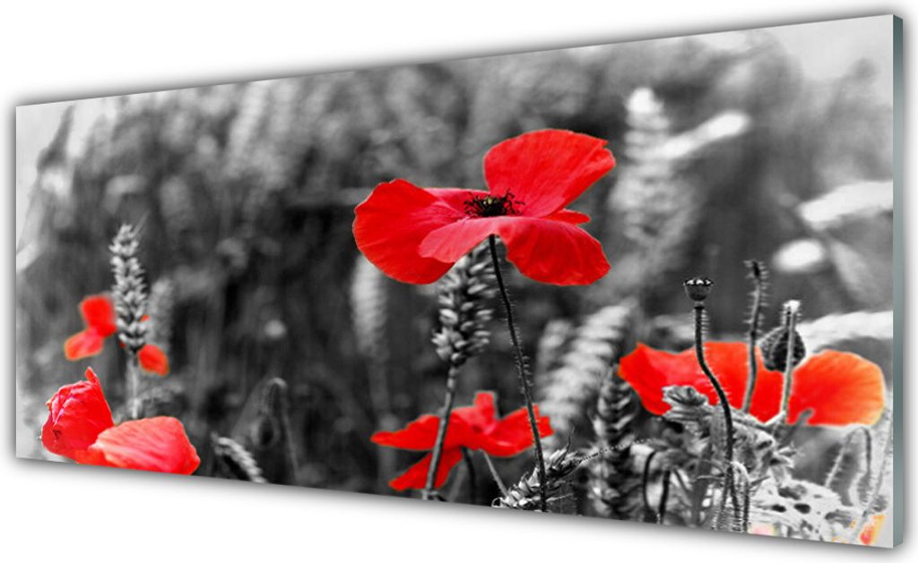 Glasbilder 125x50 Wandbild Druck auf Glas Mohnblumen Pflanzen