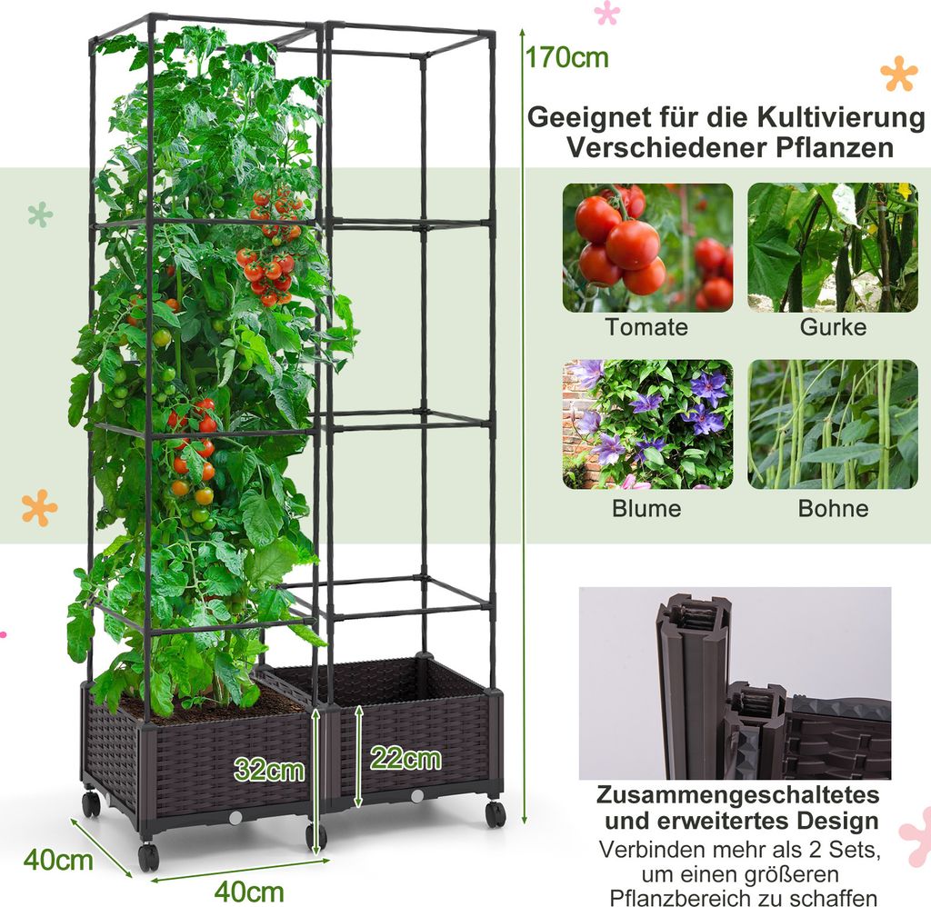wann thuja pflanzen einpflanzen Thuja "Smaragd" (80 - 100 cm) im groem Topf Sale%