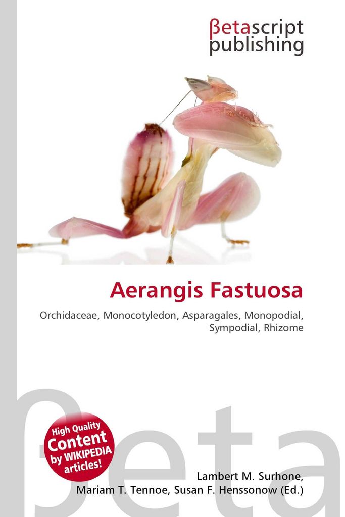 Aerangis Fastuosa