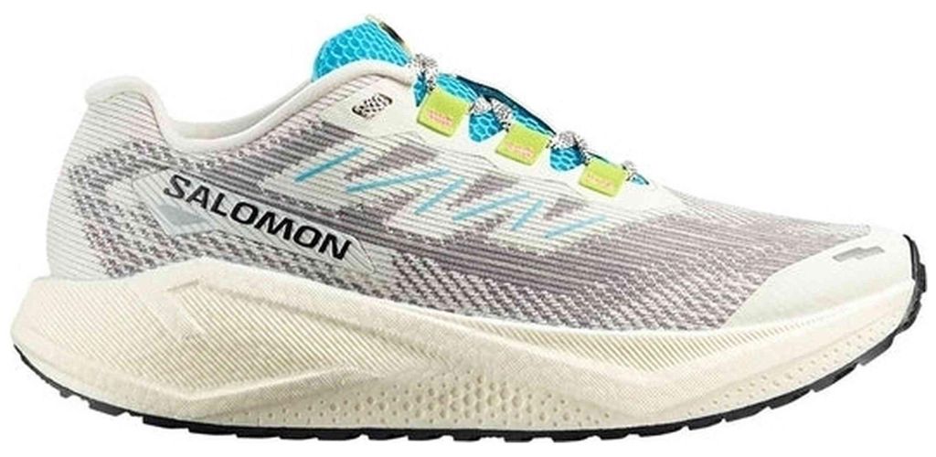 Laufschuhe Salomon Aero Blaze 3 GRVL für Herren