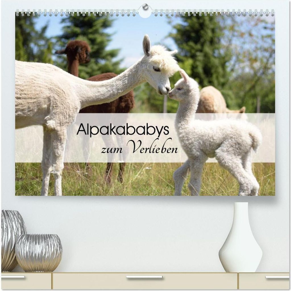 Alpakababys zum Verlieben (hochwertiger Premium Wandkalender 2026 DIN A2 quer), Kunstdruck in Hochglanz
