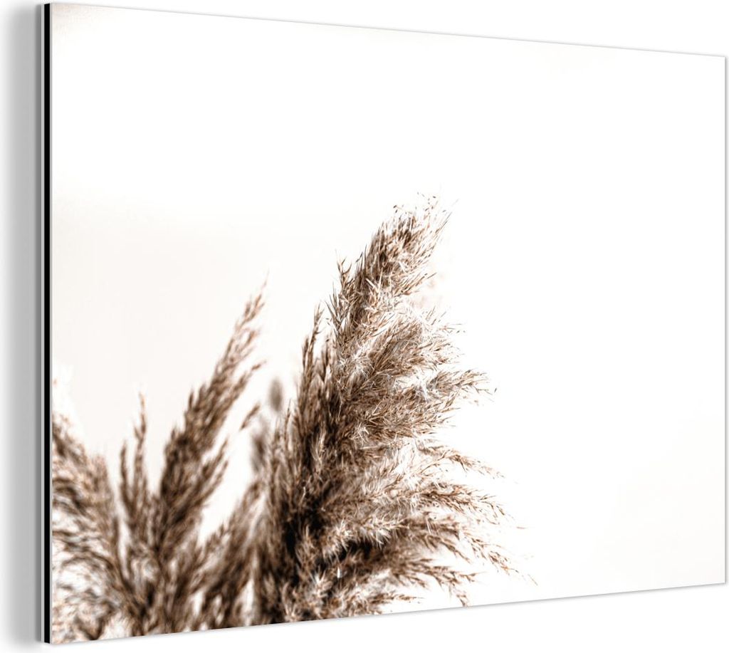 MuchoWow Wanddekoration Metall Metallbild Wandkunst 150x100 cm Pampas-Federn - Natur - Pampasgräser MuchoWow Aluminium Gemälde - Alu Dibond Bild