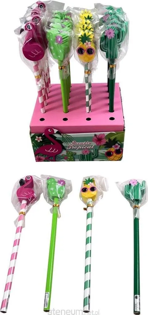 Crayon gomme Tropics MIX lot de 24 pièces pour fournitures scolaires