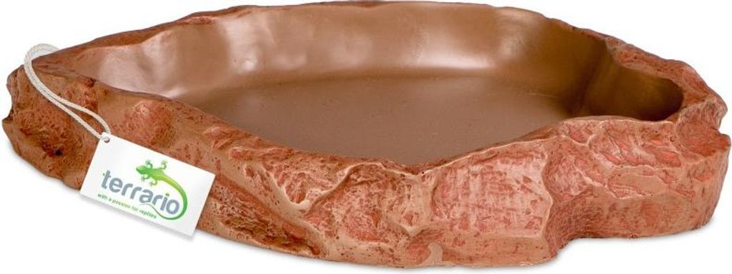 Terrario Natural Bowl – Terrarium-Schale 20x17x3 cm Produktbild 