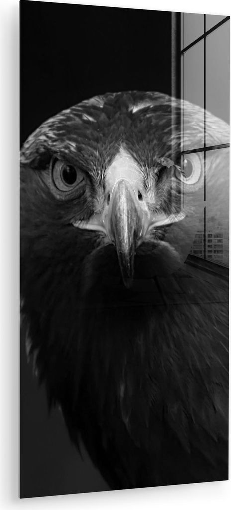 MuchoWow Glasbilder - Bilder auf Wandbild - Foto auf Glas Bussard - Vogel - Tiere - Schwarz - Weiß 60x120 cm Wanddekoration aus Glas - Acrylglasbi...