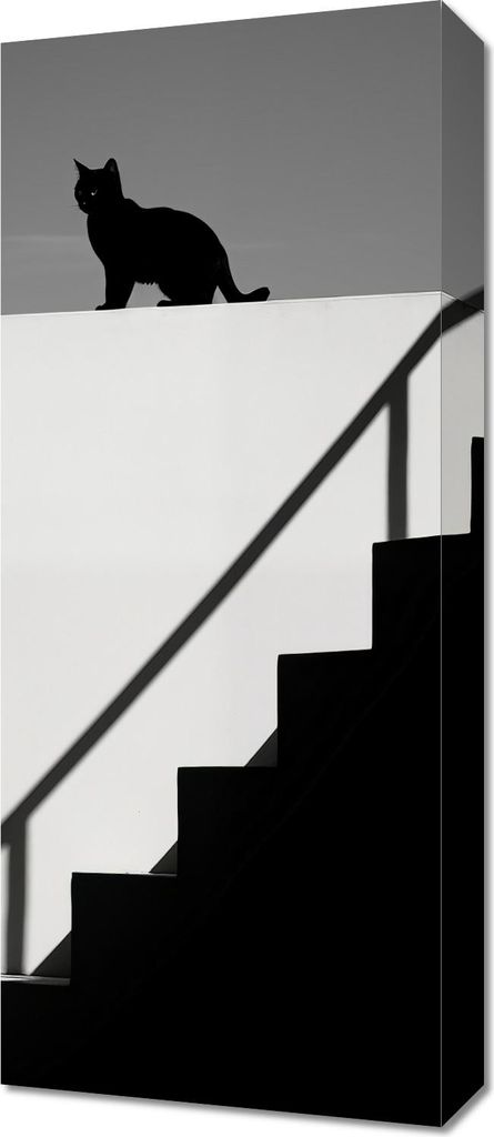 Bild 30x70cm Silhouette und Symmetrie
