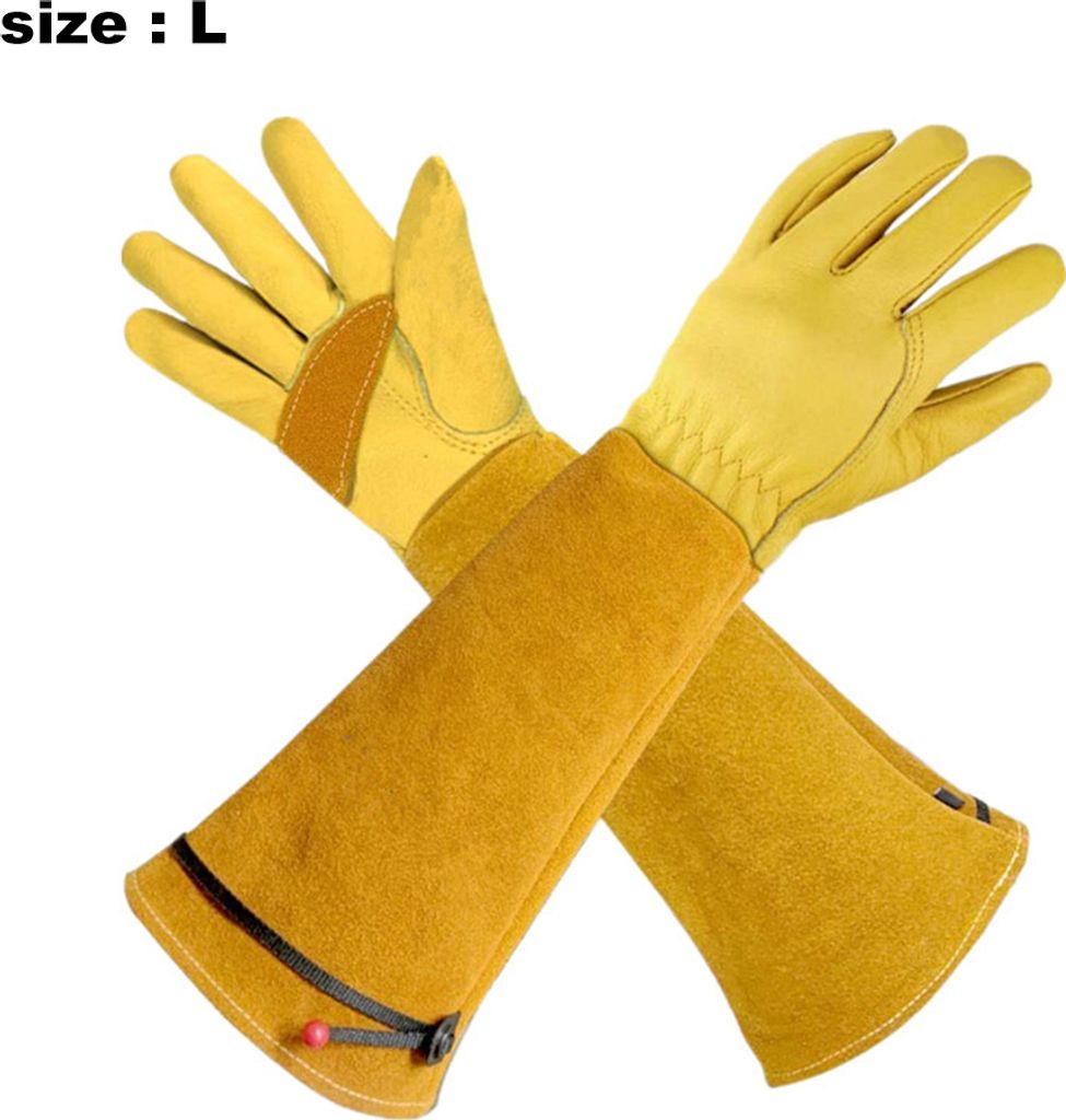 grivel handschuhe Guida XL Bergsteigen Unisex Erwachsene Sport & Freizeit Motul Gear oil 105859 Tesla Model X Set Number:17