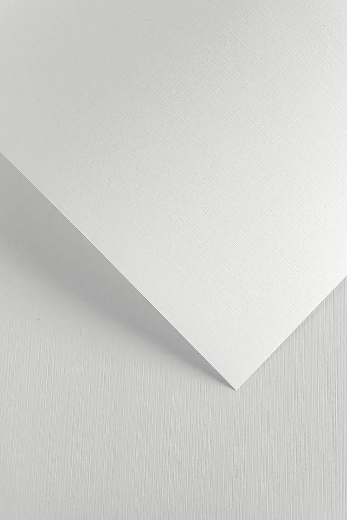 Carta A4 Decorativa Bianca 240g Canvas - Pack 20 Fogli per Hobby