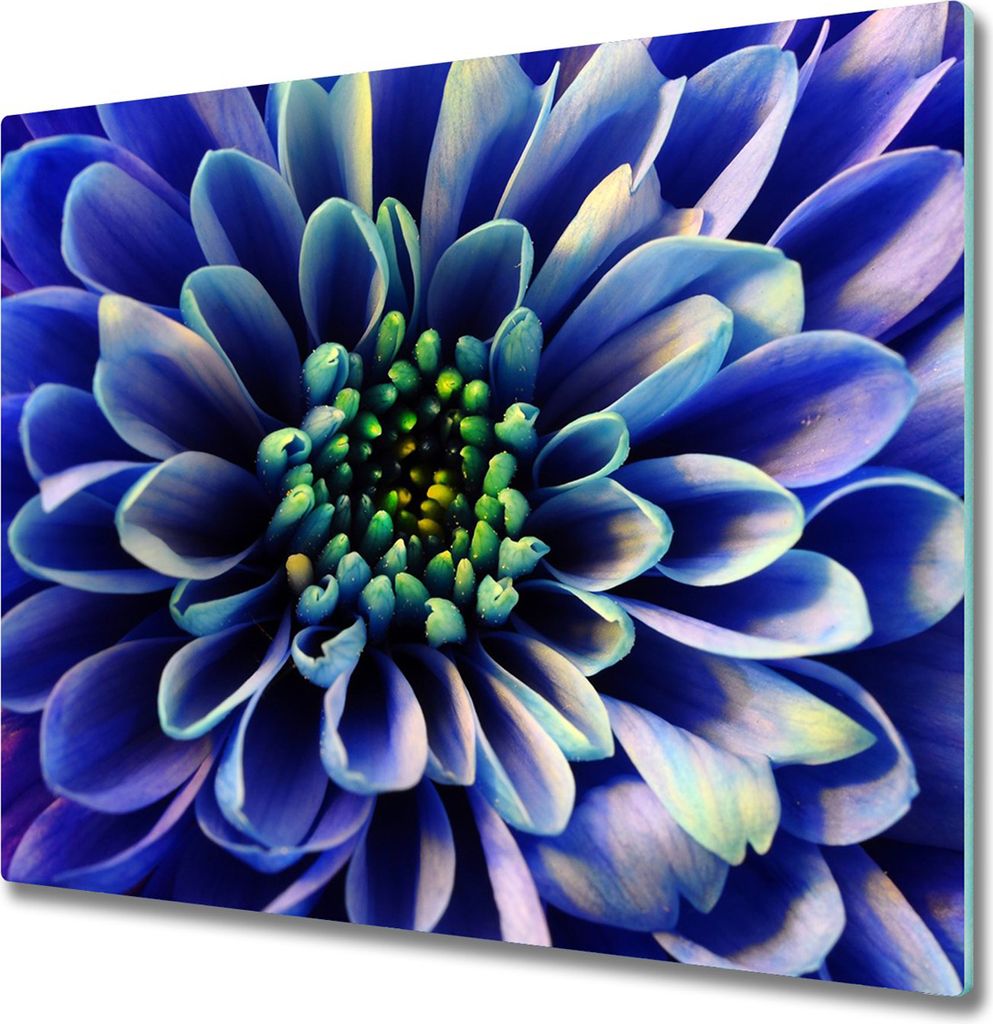 Glas Herdabdeckplatte 60x52 cm Spritzschutz Glasabdeckplatte Schneidebrett Aster
