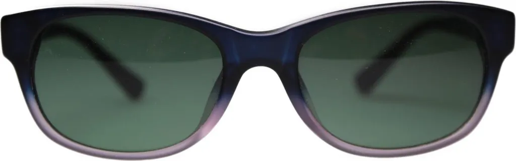 Robinson 4715-04 Sunglasses Blue: Il Must-Have della Stagione