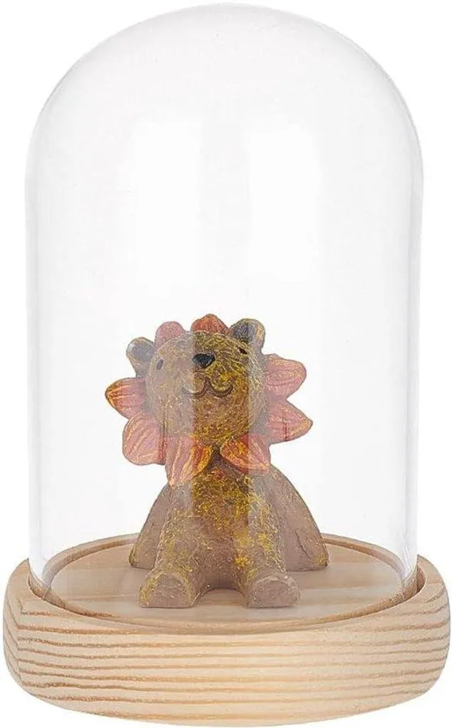Dôme d'exposition en verre et base isolante pour fleurs séchées