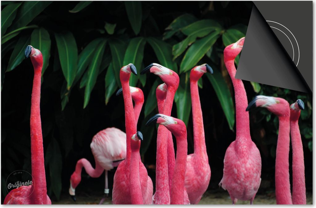 Induktionsschutz 77x51 - abdeckplatte Induktion matt- Dietrix Kochfeldschutz- Exklusive - Tiere - Flamingos