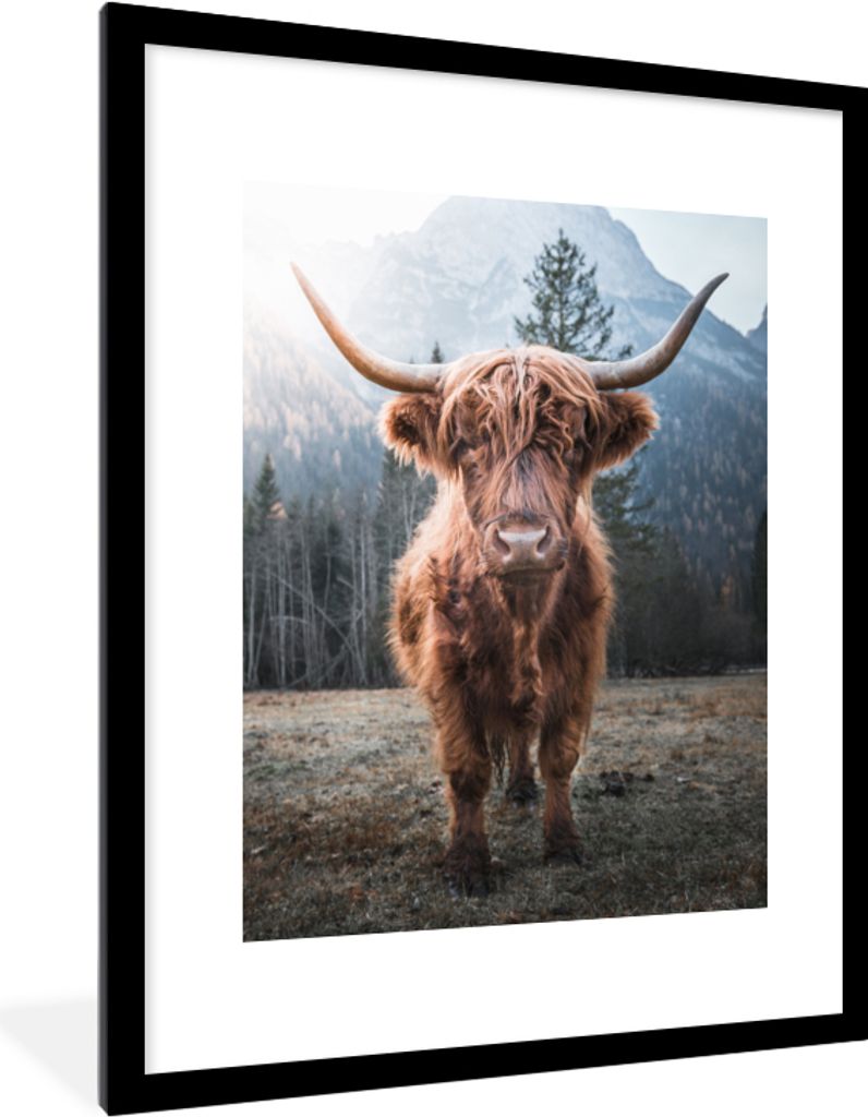MuchoWow Gerahmtes Poster Schottischer Hochländer - Kuh - Tiere - Berg - Natur 60x80 cm - Poster mit Schwarzem Bilderrahmen Wandposter Rahmen Fo...