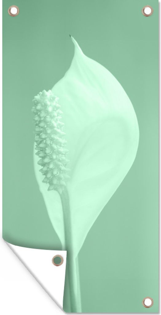 MuchoWow 30x60 cm Outdoor-Poster Gartendeko Sichtschutz Garten Poster für den Garten Mintgrüne Eukalyptuspflanze