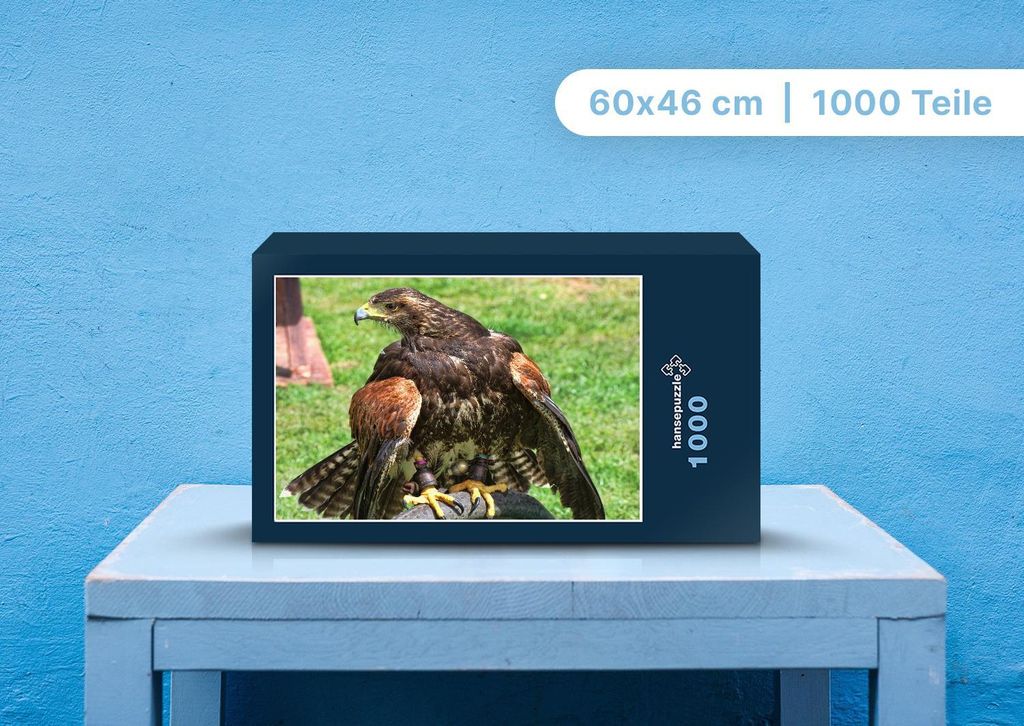hansepuzzle 96633 - Adler Puzzle, 1000 Teile, Tierwelt, 60,0 x 46,0cm mit hochwertiger Aufbewahrung, Kartonbox und wiederverschließbarem Beutel