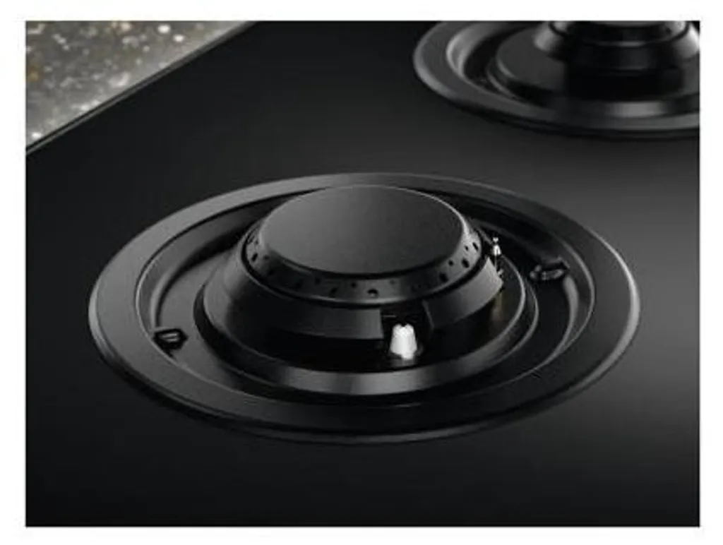 Plat de Cuisson Mixte pour Cuisson Précise Induction et Puissance Gaz