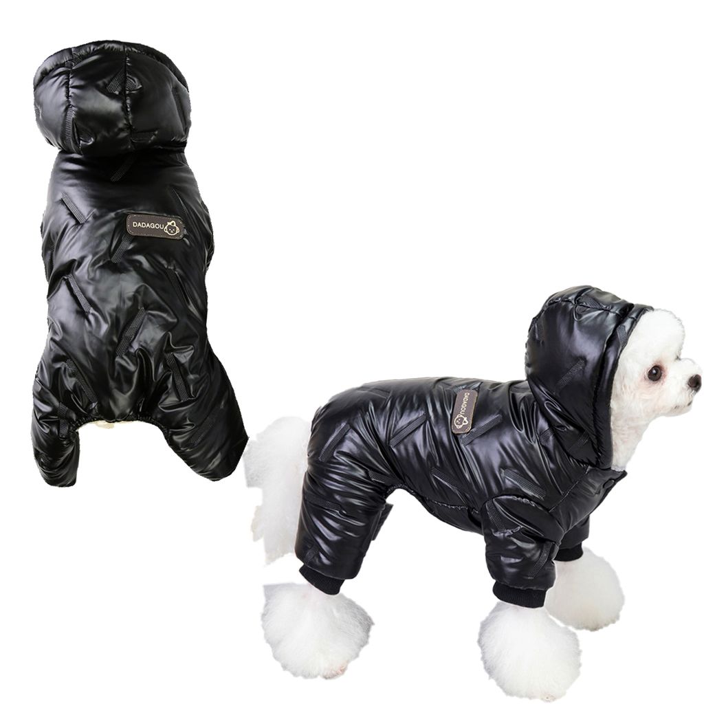 Record Audrey Hundemantel XXXS 20 Cm – Wasserdicht & Gepolstert Für Kleine Hunde