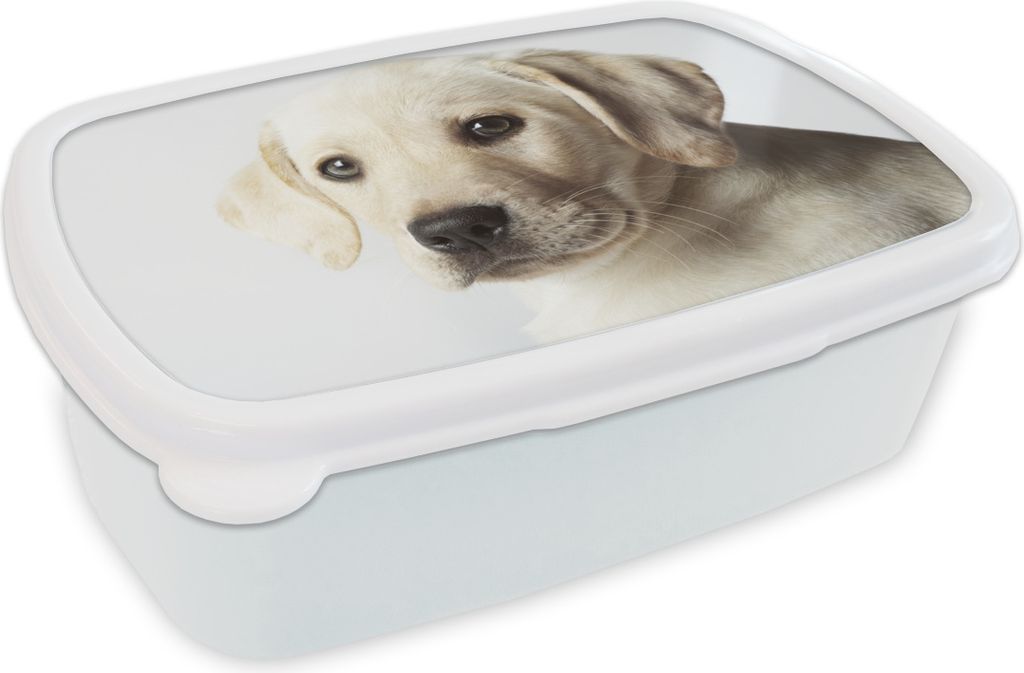 KitchenYeah Lunchbox Brotzeit Brotdose 17x11 cm Labrador Welpe Portrait Kinder Brotzeitdose - Lunch Box - Kinder - Sandwich-Box - Schulbox - Lunc...
