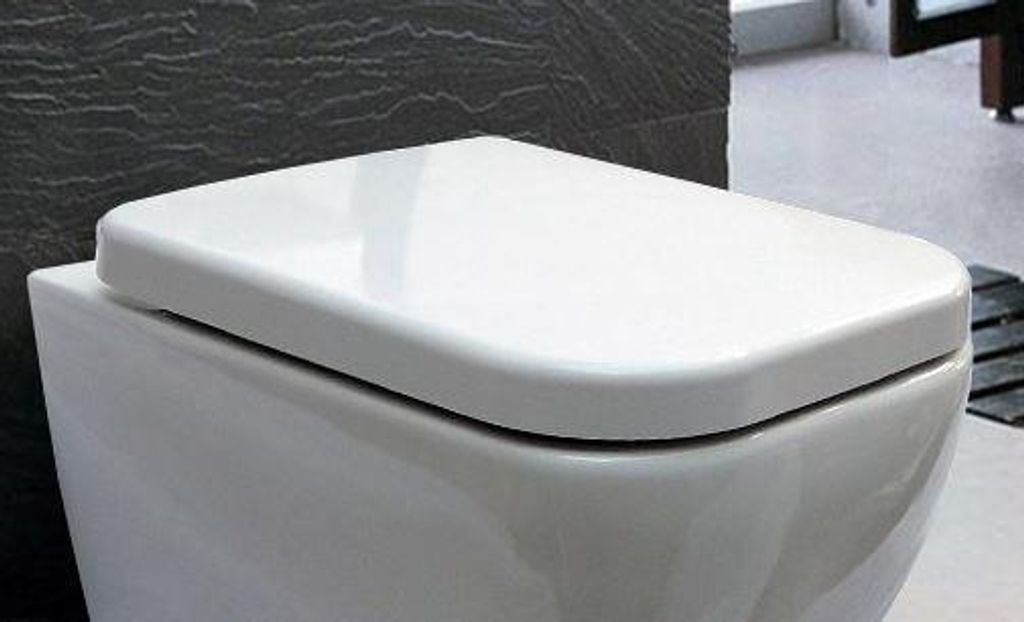 BERNSTEIN WC-Sitz aus Duroplast mit Soft-Close für Produktbild 