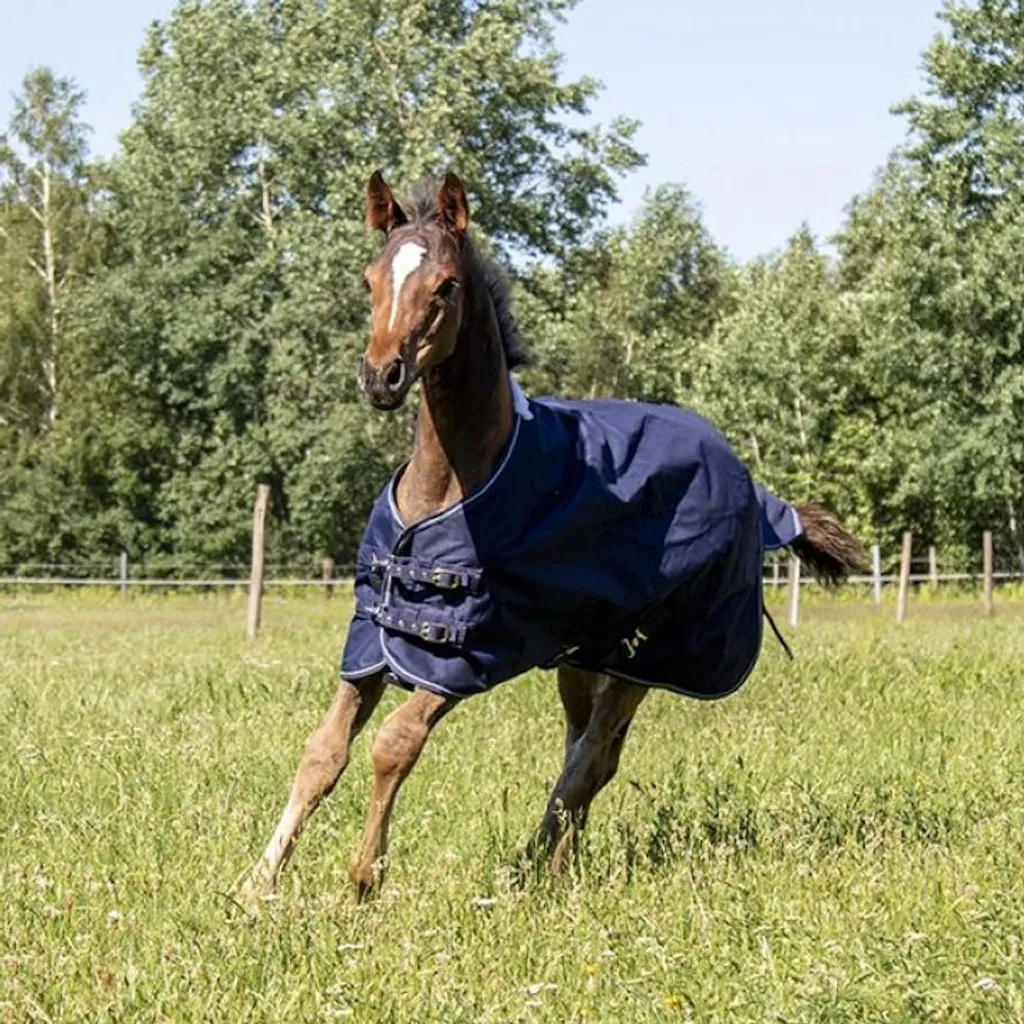Couverture pour poulain HKM Professional bleu foncé idéale mi-saison