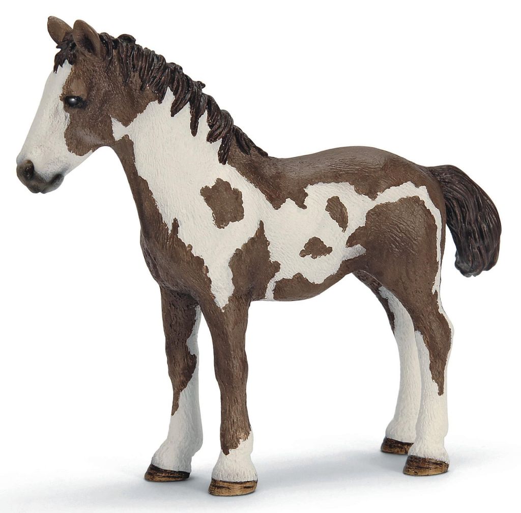 Schleich Pinto Jährling Farm Life, Braun, Weiß, Beide Produktbild 