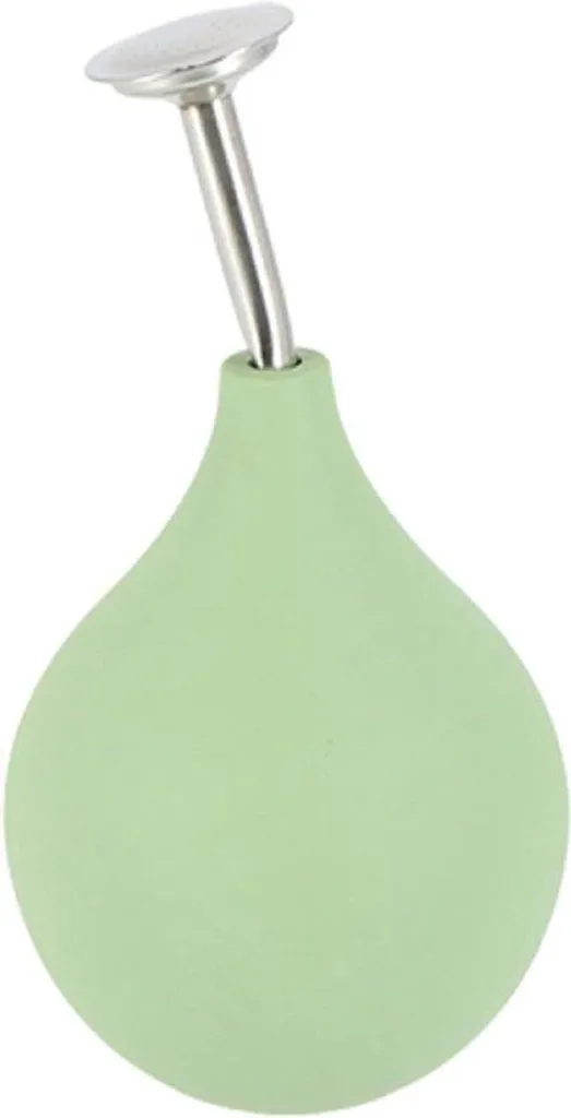Pulvérisateur de jardin pour arroser les semis, brumisateur vert 2L